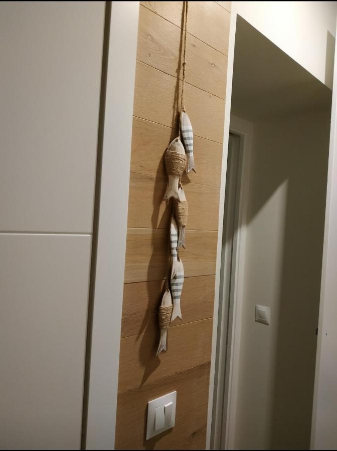 Apartamento - Patio 1812 Cádiz Kültér fotó